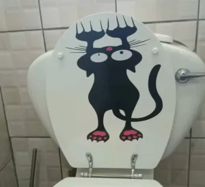 hanging cat