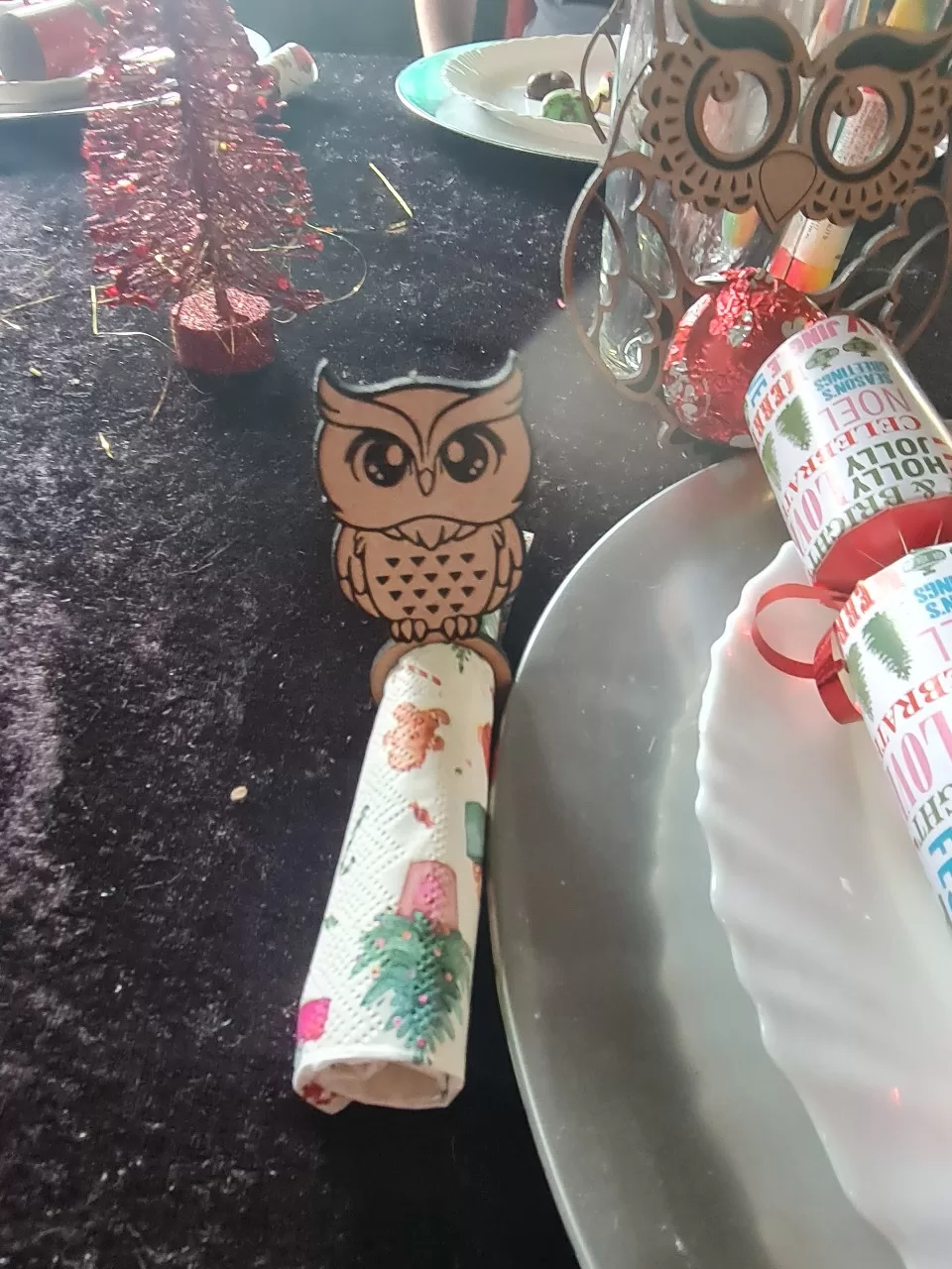 Owl Serviette Holder (set of 12)