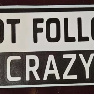 Don't follow me I do stupid things - Vinyl Decal