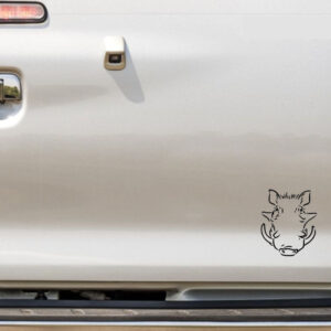Vlakvark - Bakkie Vinyl Decal